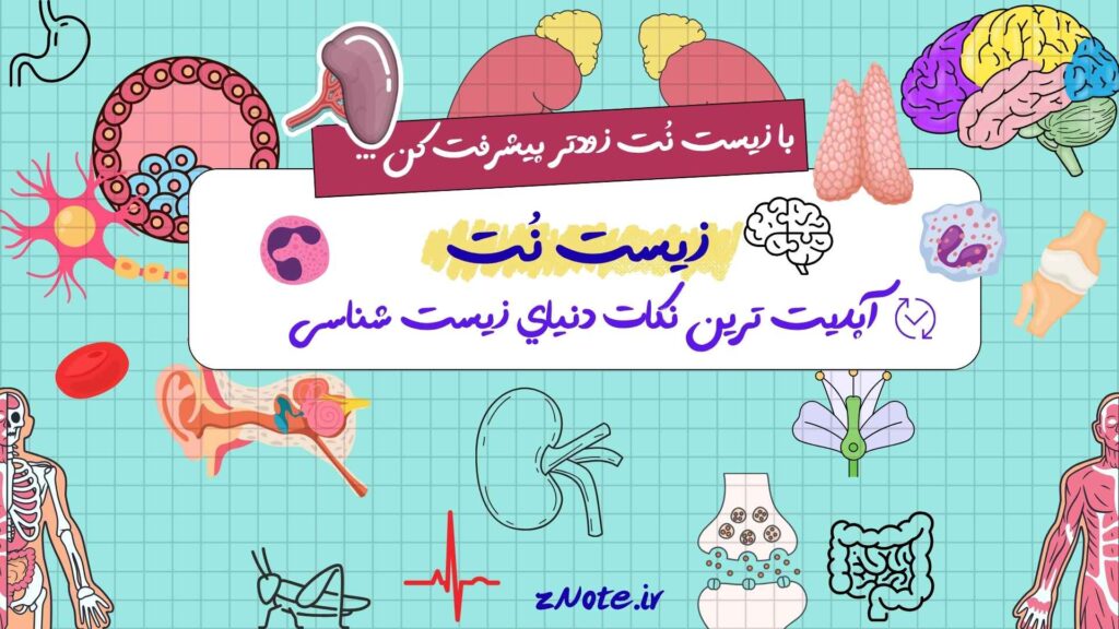 زیست نت znote