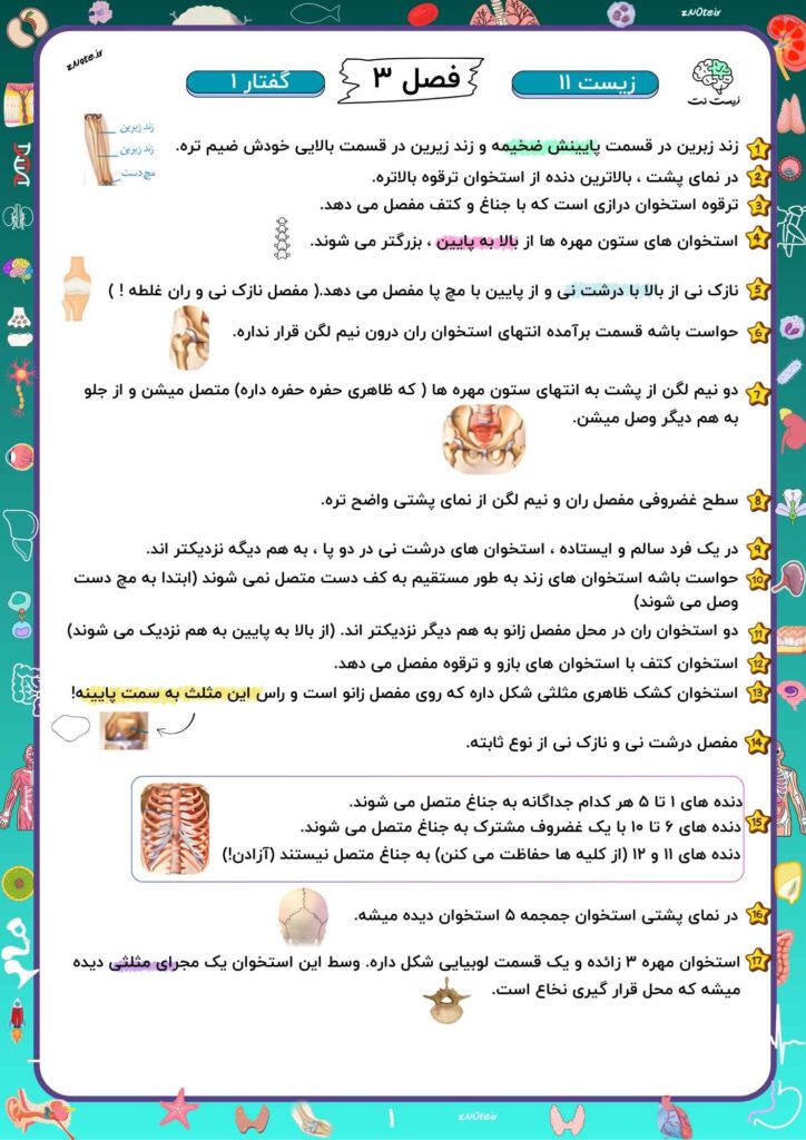 نکات جدید از دستگاه حرکتی | زیست نت | znote