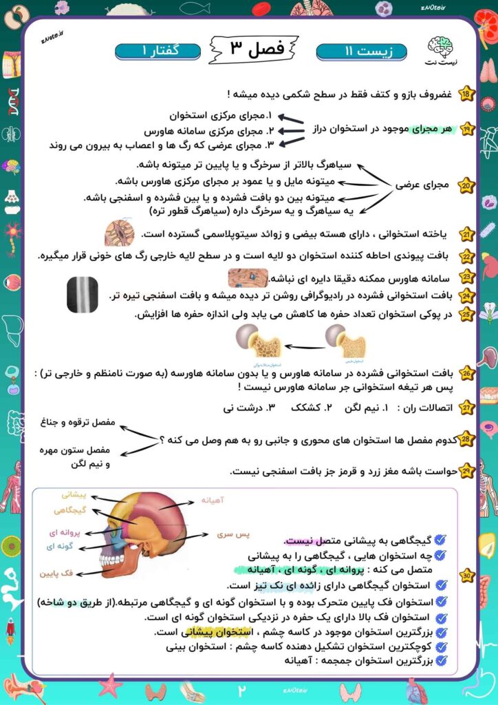 نکات مهم دستگاه حرکتی 1405 | زیست نت | znote
