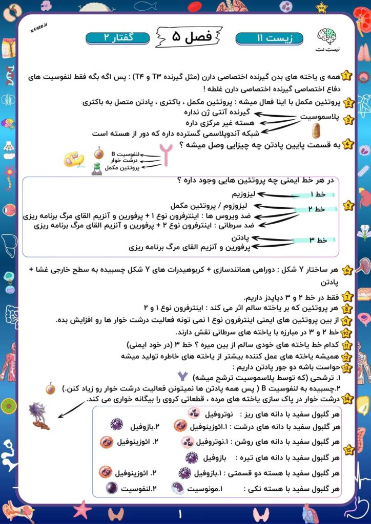 نکات آپدیت ایمنی از جزوه نکات | زیست نت | znote